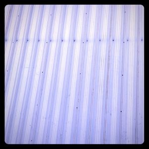 ISO a working unlocked Apple Watch